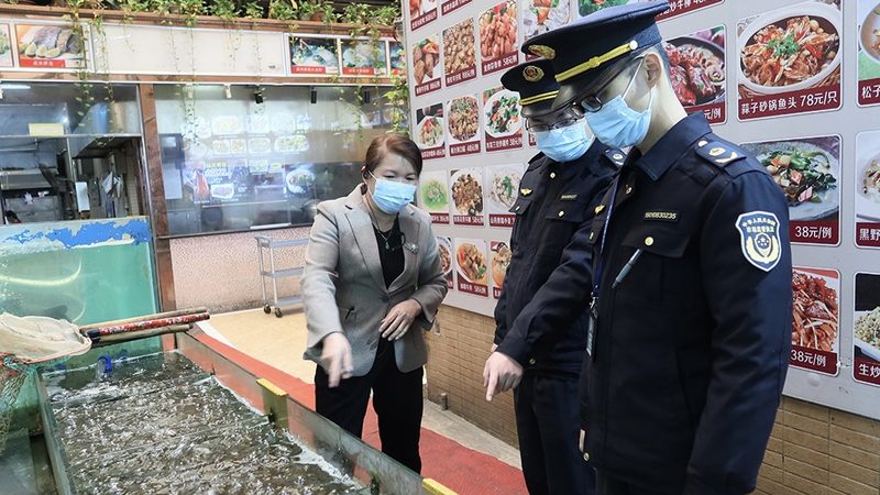 食品招商资质审核：企业如何顺利通过？**